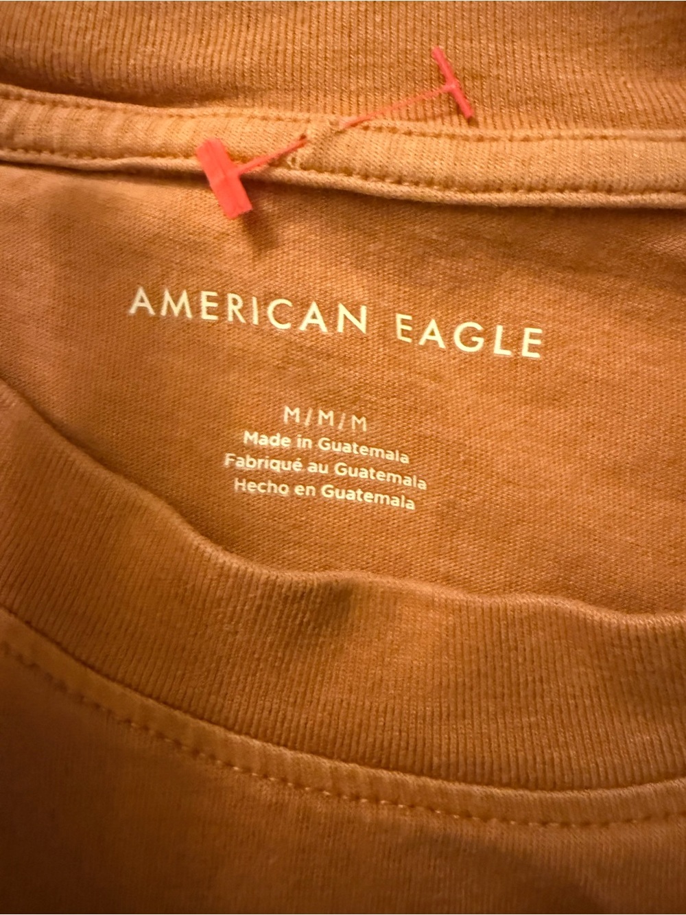 American Eagle Outfitters Women's Burnt Orange Short Sleeve Tee